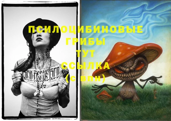 2c-b Магадан
