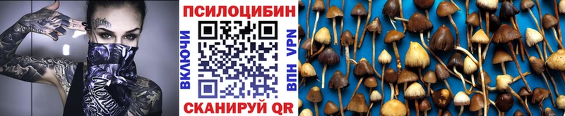Галлюциногенные грибы Psilocybine cubensis Купить Нефтекумск